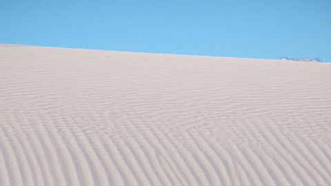 Mungo National Park - Winery Find 3