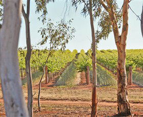 Trentham Estate Winery - Winery Find 4
