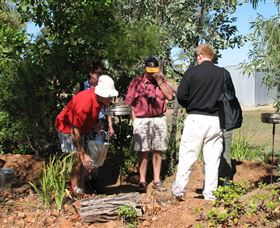 Mount Surprise Gems - Winery Find 2