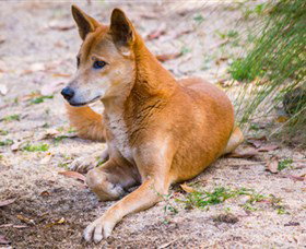 Territory Wildlife Park - Winery Find 2