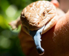 Territory Wildlife Park - Winery Find 5