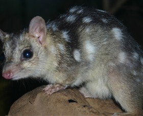 Territory Wildlife Park - Winery Find 6