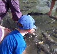 Aquascene - Winery Find