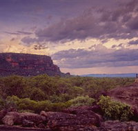 Nature's Way - Winery Find