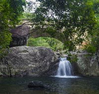 Paluma and Crystal Creek Rainforest - Winery Find