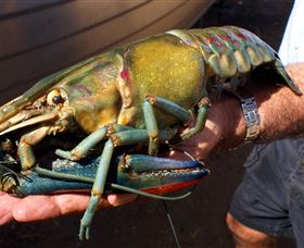 Fairbairn Dam, Lake Maraboon - Winery Find 3