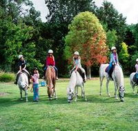 Limestone Coast Horseriding - Winery Find