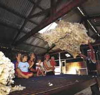 Shear Outback the Australian Shearers Hall of Fame - Winery Find