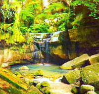 Carnarvon Gorge Carnarvon National Park - Winery Find