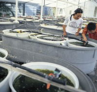 James Cook University of North Queensland - Winery Find