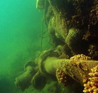 Wreck Diving at Magnetic Island - Winery Find