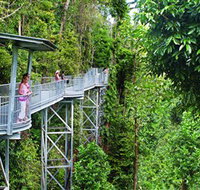 Mamu Tropical Skywalk - Winery Find