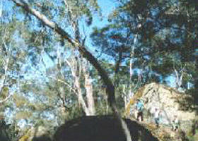 Dergholm State Park - Winery Find 0