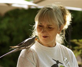 Yando ACT Winery Find