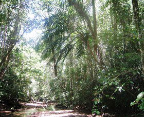 Mount Lewis National Park - Winery Find 0