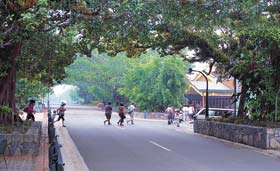 Kuranda - Village In The Rainforest - Winery Find 1