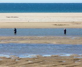 Alva Beach - Winery Find 0