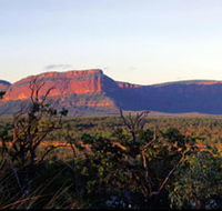 Blackdown Tableland National Park - Winery Find