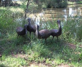 East Tolans Farm Tour - Winery Find 0
