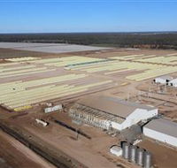 Southern Cotton Gin - Winery Find