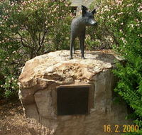 Dingo Statue - Winery Find