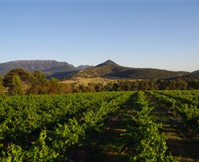 Grampians Estate - Winery Find 1