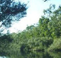 Crawford River Regional Park - Winery Find