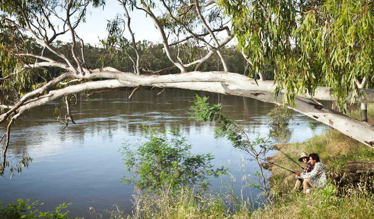 Bullatale NSW Winery Find