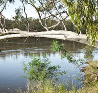Murray Valley National Park - Winery Find