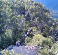 Mia Mia State Forest - Winery Find