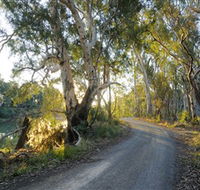 Alton Gallery - Echuca Moama Artists - Winery Find