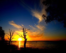 Lake Cowal - Winery Find 0