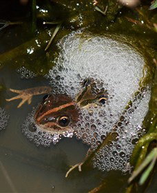 Lake Cowal - Winery Find 5