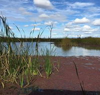 Gwydir Wetlands - Winery Find