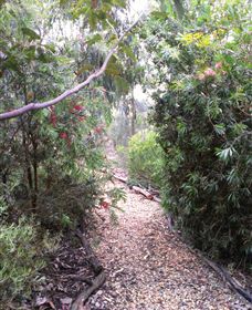 Timandra By The Sea - Winery Find 8