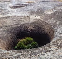 Blowhole and the Rocks - Winery Find