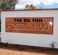Big Fish Fossil Hut at Peak Hill - Winery Find