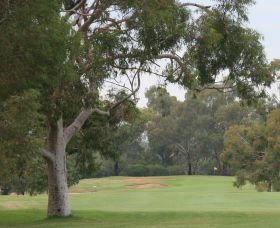 Tocumwal Golf Club - Winery Find 2
