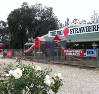 The Big Strawberry - Winery Find