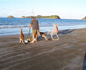 Cape Hillsborough National Park - Winery Find 0
