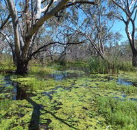 Macquarie Valley Trails - Winery Find