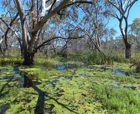 Macquarie Valley Trails - Winery Find 0