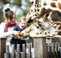 Taronga Western Plains Zoo Dubbo - Winery Find