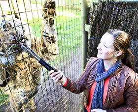 Taronga Western Plains Zoo, Dubbo - Winery Find 3