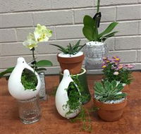 Cobram Florist - Winery Find