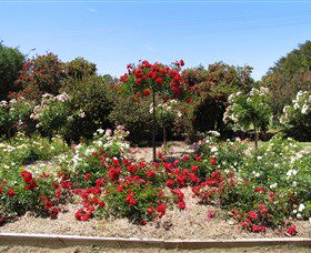 Barooga Botanical Gardens - Winery Find 2