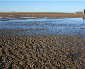 Far Beach - Winery Find 1