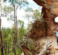 Pilliga National Park - Winery Find