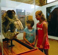 Australian Museum Diprotodon Exhibition - Winery Find