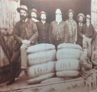 Greens Gunyah Museum - Winery Find